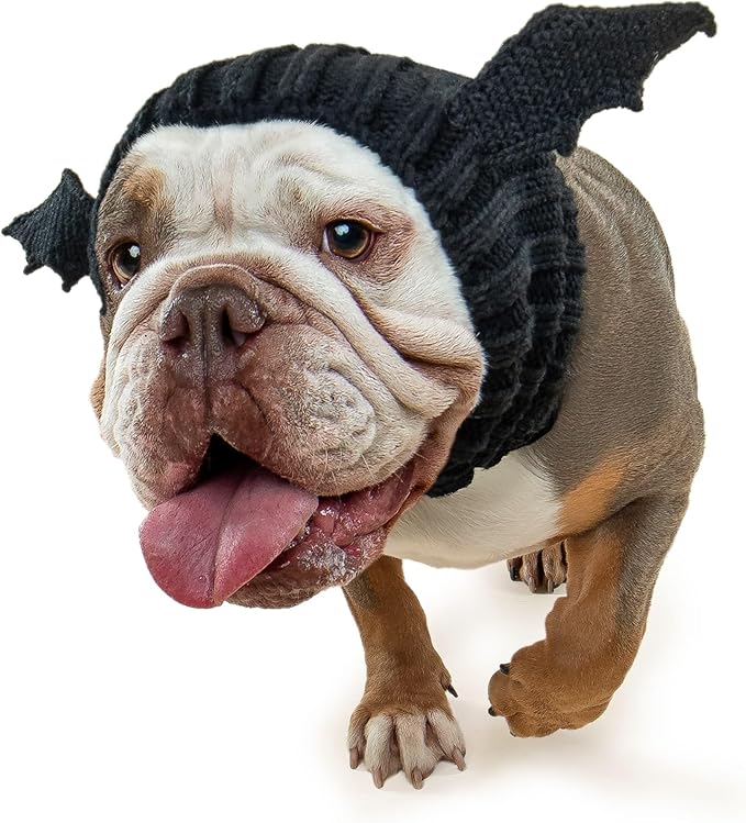 Zoo Snoods Bat Wing Dog Costume - Warm Crochet Snood Wrap for Pets, Neck Ear Cover Protection, Halloween Winter (Large)