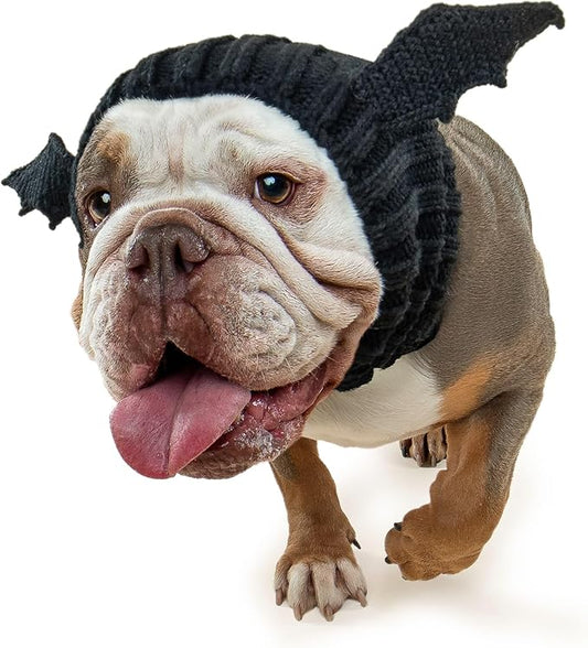 Zoo Snoods Bat Wing Dog Costume - Warm Crochet Snood Wrap for Pets, Neck Ear Cover Protection, Halloween Winter (Large)
