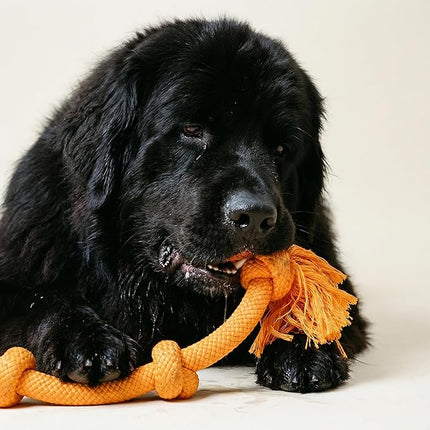Playology Rope Toys for Dogs | Tug of War Dog Toy for Aggressive Chewers | Cheddar Cheese Scented Dog Toys | Mega Rope Toy for Interactive Play