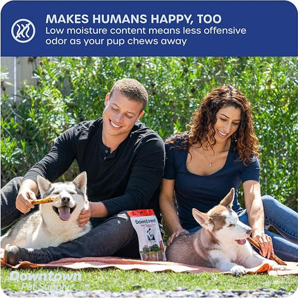 Downtown Pet Supply Jumbo Bully Sticks for Dogs - Natural Beef Chews, Low-Odor & Rawhide-Free, Long Lasting Dog Treats for Aggressive Chewers - Healthy, Safe & Delicious Chews Dogs Love (12" 5 Pack)