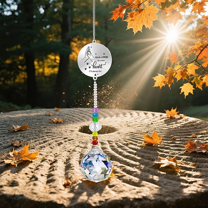 Dog Memorial Gifts for Loss of Dog, Pet Sympathy Crystal Window Memorial Suncatcher,Bereavement Gift Sun Catcher,Remembrance Pet Passing Away Loss Gifts (D)