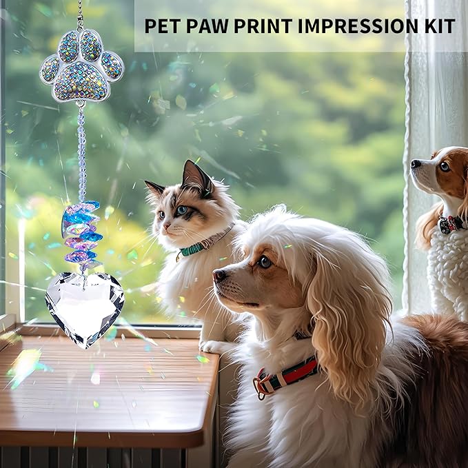 Dog Memorial Gifts,Pet Memorial Suncatcher with 7-Colorful Beads Paw Bracelet,Pet Loss,Pet Sympathy,Thoughtful Dogs and Cats Remembrance,Lost of Pet Bereavement Gifts,Crystal Heart Sun Catcher