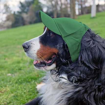 Littlearth NFL Pet Baseball Hat - Officially Licensed Teams, Sizes: XS - XL