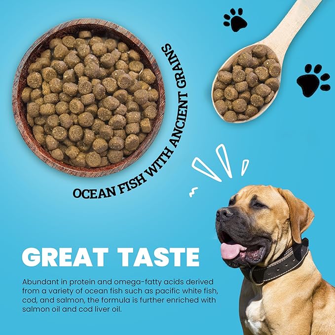 Muenster Ancient Grains Ocean Fish Dry Dog Food, 12lb (Pack of 3) - Gluten-Free, High Protein, Digestive Support