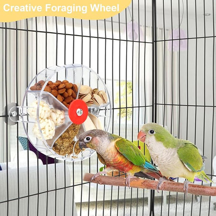 Bird Creative Foraging System Wheel Seed Food Ball Rotate Training Toy for Small and Medium Parrots Parakeet Cockatiel Conure (Clear)