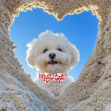 Maca Bates Valentine's Day Dog Collar with Fancy Bow for Small Girl Boy Dogs,Red Love Hearts Pattern,Adjustable Durable Soft Valentine Gift for Female Male Puppy