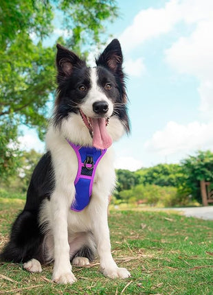 PHOEPET 2019 Upgraded No Pull Dog Harness, Reflective Adjustable Vest, with a Training Handle + 2 Metal Leash Hooks+ 3 Snap Buckles +4 Slide Buckles(XL, Royal Blue)