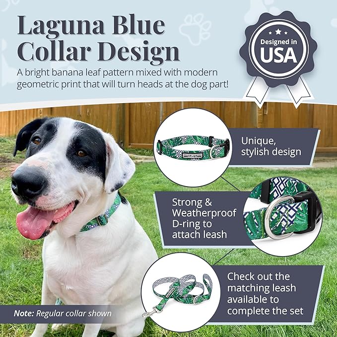 Lucky Love Dog Collar, Beautiful & Vivid Pattern Large Boy Dog Collars, Easy On & Off Clasp Accessory (Blue Laguna, L)