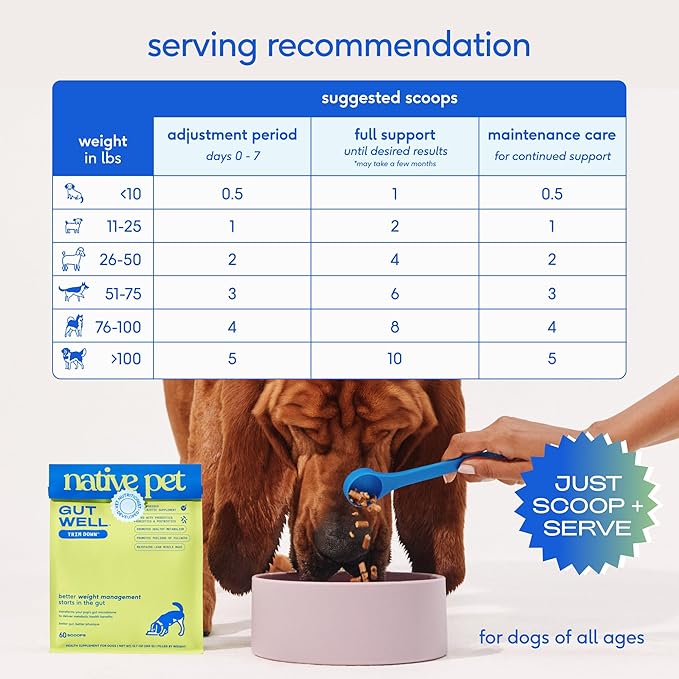 GutWell Trim Down - Weight Management Dog Food Topper - Dog Weight Loss Supplement Promotes Feeling of Fullness, Healthy Metabolism & Lean Muscle with Triple-biotic Blend & L-Carnitine - 60 Scoops