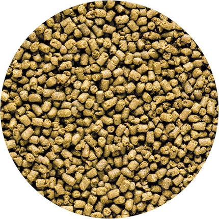 Hikari 042220 Carnivore Medium Sinking Pellets Marine Fish Food, One Size