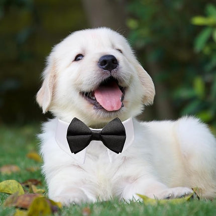 Dog Bowtie, KOOLMOX Tux Dog Collar for Weddings with Handcrafted Adjustable White Collar and Black Tie, Classic Neck Tie for Small to Medium Dogs Cats Puppies Valentine's Costumes