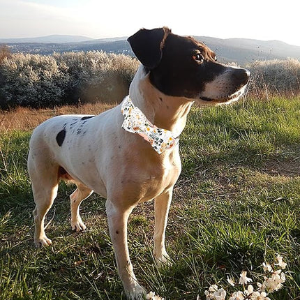 Elegant little tail Dog Collar, Floral Pattern Pet Collars with Bow Girl Cotton Bowtie Collars Spring Puppy Gift Adjustable Pet Collar for X-Large Dogs