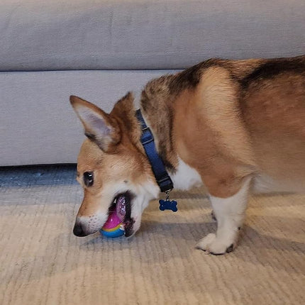 SPOT Sensory Ball for Soft Chewers - Stimulates All 5 Senses, Bell & Squeaker Sounds, Raised Nubs Clean Teeth, High Contrast Fetch Toy, Beef Scented, Durable TPR Rubber Ball, 2.5-inch