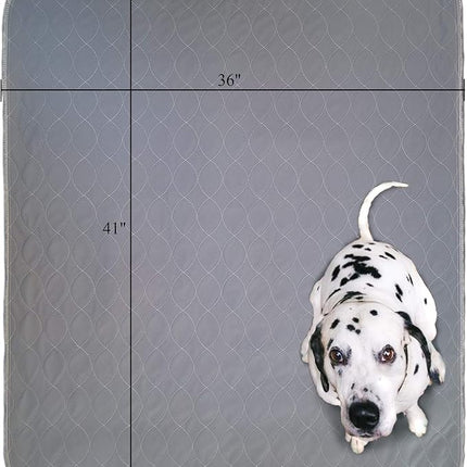 Washable Pee Pads for Dogs | Non-Slip Quick Dry| Fast Absorbing Wee Mat for Playpen Housebreaking Indoor Potty Training Whelping Incontinence Travel (2-Pack 36x41in, Grey Extra Padded)