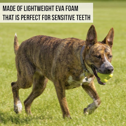 Hyper Pet Fetching Dog Toys - Throwing Bumpy Ball Dog Toy Made with EVA Foam - Lightweight & Floats on Water (Pack of 5)