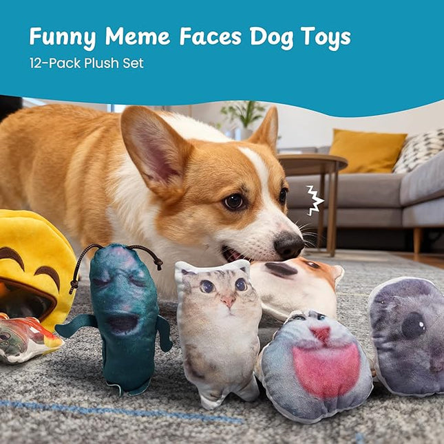 Nocciola Plush Squeaky Dog Toys – 12 Pack Small Dog Chew Toys with Squeakers, Soft Stuffed Puppy Toys with Carry Bag for Small & Medium Dogs