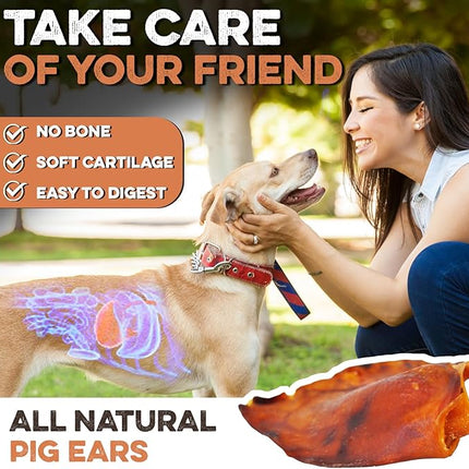 BRUTUS & BARNABY Whole Pig Ears for Dogs, 12 Ct. – All-Natural Single Ingredient Dog Chews, Slow Cooked & Fully Digestible Rawhide Alternative