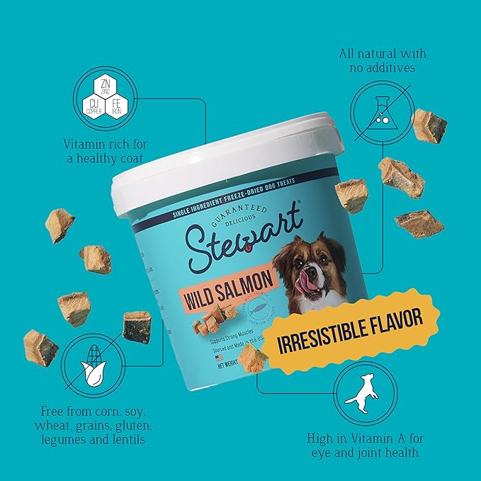 Stewart Single Ingredient Freeze Dried Raw Dog Treats, Wild Salmon, 9.5 Ounce, Approx. 190 Pieces per Resealable Tub, Training Treats or Meal Topper, High Protein, Grain Free, Gluten Free