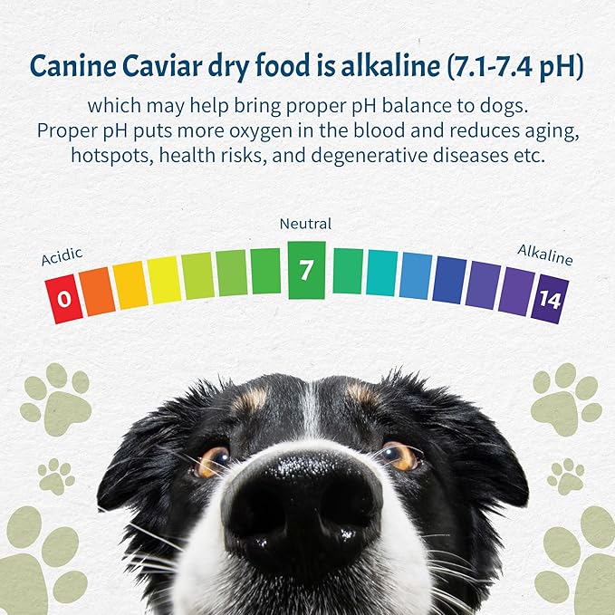 Canine Caviar - Small Breed: Chicken & Whole Ground Oats, Alkaline Dry Dog Food, Limited Ingredients, Gluten-Free, Based on Science & Research, Veterinary Alternative Diet (11 Pound Bag)