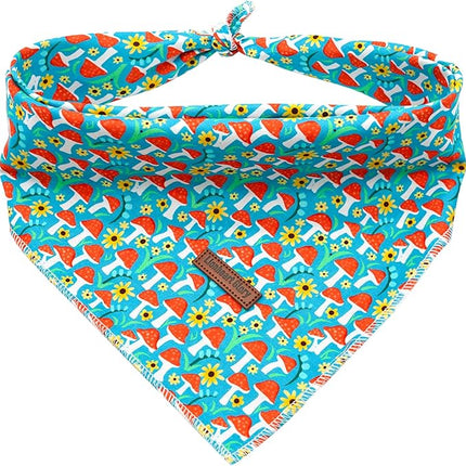 Lionheart Glory Soft Dog Scarf, Washable Fall Bib Scarf, Adjustable Square Bandana for Small to Large Dogs