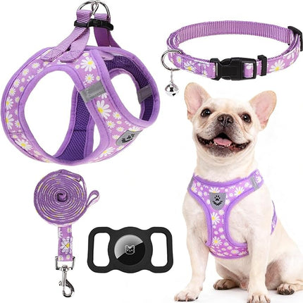 EXPAWLORER Small Dog Harness and Leash Set - Cute Spring Puppy Harness Leash Dog Collar with AirTag Holder Silicone Case, Soft Padded Step in Pet Vest Reflective for Outdoor Walking, Purple Daisy M