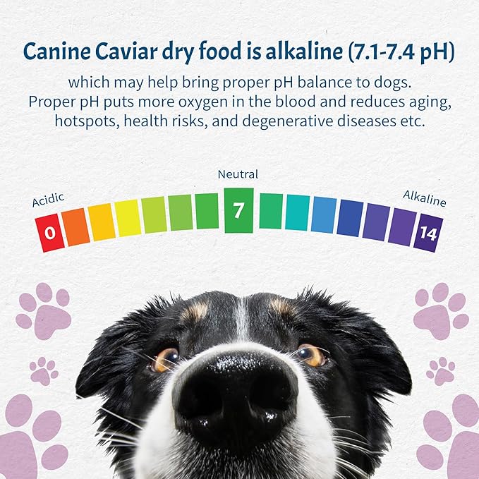 Canine Caviar - Leaping Spirit: Venison & Pearl Millet Alkaline Dry Dog Food, Limited Ingredients, Gluten-Free, Based on Science & Research, Veterinary Alternative Diet (22 Pound Bag)
