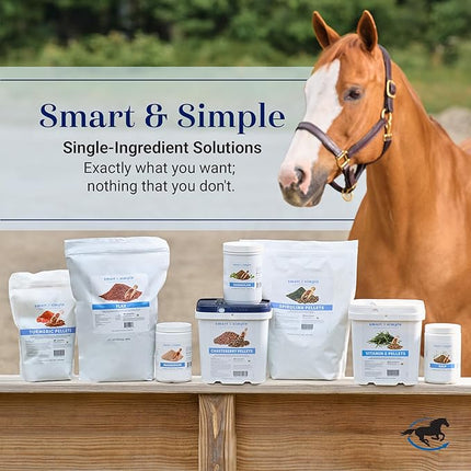 SmartEquine Smart & Simple Magnesium Horse Supplement | Supports Metabolism and Muscle Function | 154 Servings | 3 lb