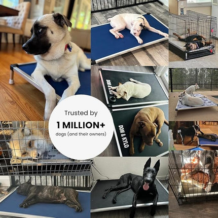 K9 Ballistics Chew Proof Elevated Cooling Outdoor Cot Bed for Small Dogs & Puppies - Virtually Indestructible, Preassembled, Withstands Aggressive Chewers - S, Ripstop Blue Quartz