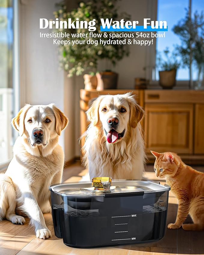 lesotc Dog Water Fountain Stainless Steel, 2.6 Gallon/10L Pet Water Fountain Cat Water Fountain Dog Water Bowl Dispenser for Large Dogs & Multi Pets, Ultra-Quiet, Smart Pump, Easy to Clean