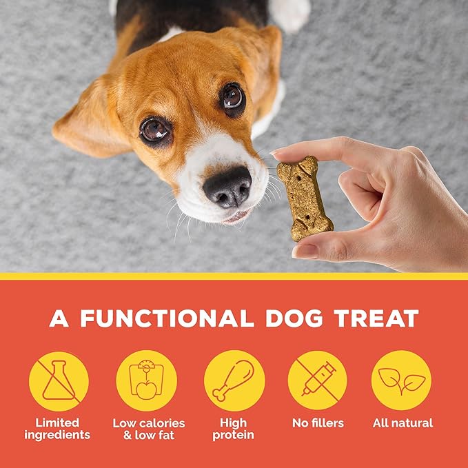 Brutus Bone Broth Biscuits (Pork and Apple) - Natural Dog Treats - Healthy Dog Biscuits with Real Pork, Bone Broth and Apple for Healthy Joints - 18 Grams of Protein - 8 OZ (Pack of 2)