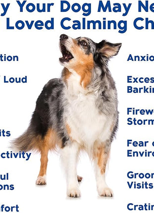 Calming Chews for Dogs - Dog Calm Treats, Made in USA, Vet Developed, Behavior Support, Stress, Separation, Fireworks, Travel, Melatonin, Natural & Holistic, 90 Count