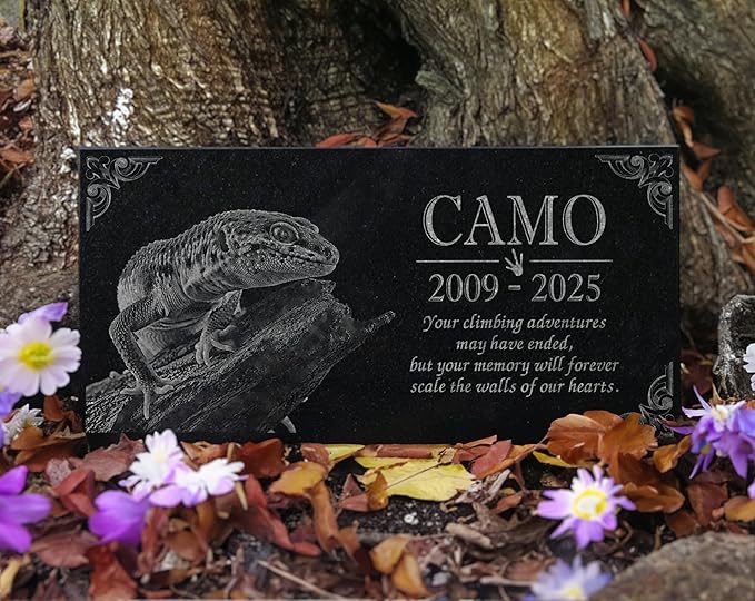 Your Image Pet Memorial Stone: Custom Pet Granite Marker | Dog and Cat Grave Stone | Tribute for Rabbit | Water Proof Outdoor Tombstone Gravestone | RIP Urn Memorial | Pet Bereavement