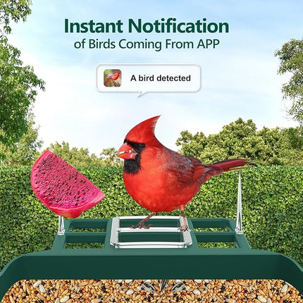 Bird Feeder with Camera,2K Live View,WiFi Smart Bird House with Cam Solar Powered for Outdoor,Night Vision,AI Identify,Auto Record Video,Real-Time App Alerts,Birdwatching Gifts for Family,Birds Lover