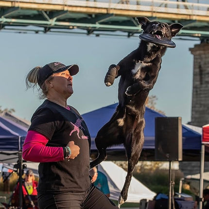 Hyperflite K-10 Jawz Midnight (Black) Disc • for Dogs Over 16" • 8.75 Inch / 155 Grams • Puncture Resistant • Made in The USA