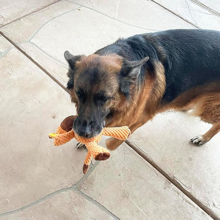 Jalousie Multipack Dog Squeaky Toys Strong Almost Indestructible, with Added Liner for Longer Play Dog Chew Toys (Medium to Large Breeds, 5 Pack Checks for Aggressive Chewers)