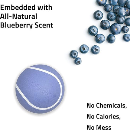 Playology Dog Toys | Squeaky Chew Ball - Bouncy Durable Floating Fetch Ball for Dogs | Jumbo Blueberry Scented Toy - Easy to Clean and Made from Non Toxic Materials