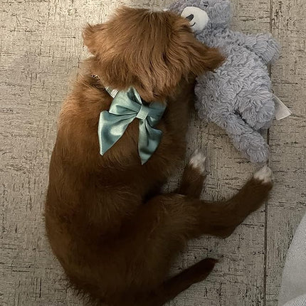 Lionet Paws Bowtie Dog Collar - Comfortable Silk Dog Collar with Detachable Bow Tie for Medium Dogs, Neck 13.5-22 Inches