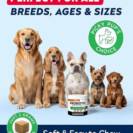 STRELLALAB Dog Probiotics for Digestive Health & Enzymes - Diarrhea, Gas, Upset Stomach Relief & Season Allergy - Pet Probiotics for Dogs- Chews for Digestion - Gut Health for Dogs (60Ct)