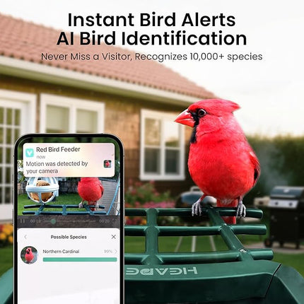 Bird Feeder with Camera Solar Powered 2K HD Video, 10,000+ Species AI Recognition, Real-Time App Alerts, and Weatherproof Design for Effortless Birdwatching, Gift for Bird Lovers, Grass Green