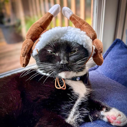 Huxley & Kent Pet Hat | Turkey Tester (Medium) | Fun Thanksgiving Holiday Hat for Dogs/Cats | Cute, Comfortable and Fun | SnugFit Strings for Best Fit