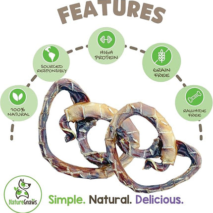 Nature Gnaws Pork Bully Stick Pretzels for Dogs 4-5" (15 Count) - Long Lasting for Light Chewers and Small Dogs - Natural Bacon Dog Chew Treats - Rawhide Free