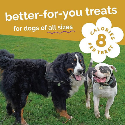 Fruitables Baked Dog Treats, Healthy Pumpkin Treat for Dogs, Low Calorie & Delicious, Free of Wheat, Corn and Soy, Made in The USA, Chicken and Cranberry Flavor, 20 oz