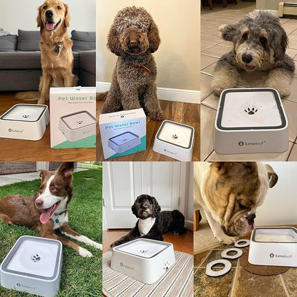 LumoLeaf No Spill Water Bowl for Dogs with Filter, 70oz/2L, Slow Feeder for Messy Drinkers, Drip-Free & Splash-Proof Design (White 70 fl oz)