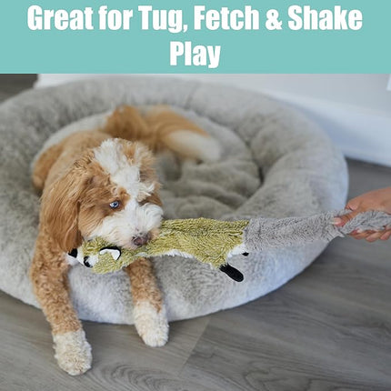 SPOT Skinneeez Raccoon 23 Inch Stuffing-Free Dog Toy – Soft Plush Tug Toy with Two Squeakers for Medium and Large Dogs – Mess-Free Interactive Chew Toy