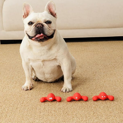 Squeaky Dog Toys, Soft Latex Rubber Squeaky Ball for Small Dogs Puppies, Cute Bounce Squeak Lobster Pet Dog Toy