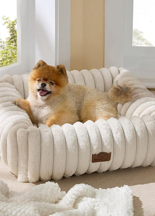 Bedsure Cute Dog Bed for Small Medium Dogs - Washable Furry Puppy Beds, Rectangle Orthopedic Corduroy Fleece Pet Beds with Removable Zipper Cover, 25x21x7inches, Cream