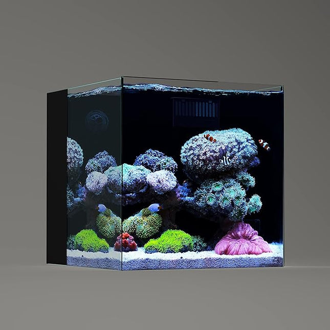 LANDEN 35C 7.2 Gallon Ultra Clear All Glass Rimless Low Iron Aquarium Tank with Rear Filtration Chamber(Pump Included) for Salt and Fresh Water.13.8''Wx13.8''Dx13.8''H 35cm Cube in 6mm Thickness