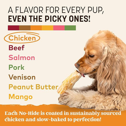 Earth Animal No Hide Chews - Long Lasting Rawhide Free Small Dog Chews Rolls, Chicken - 2 Count