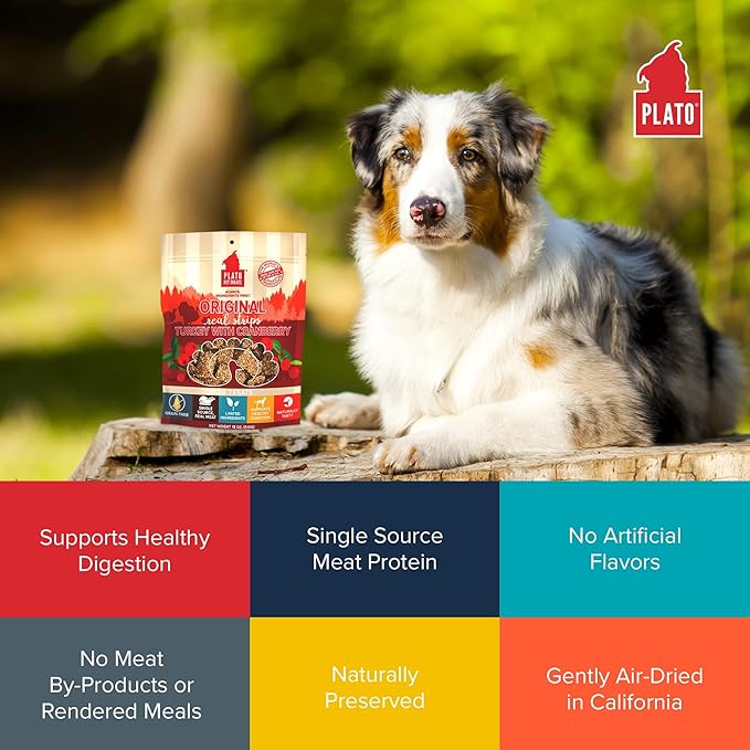 PLATO Turkey Real Strips Natural Dog Treats - Real Meat - Air Dried - Made in the USA - Turkey & Cranberry, 3 ounces