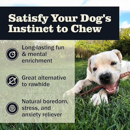 Redbarn Pet Products All Natural 8"-12" Bully Sticks for Medium/Large Dogs - Healthy Long Lasting Chews Variety Party Pack - 100% Beef Single Ingredient Low Odor Rawhide Free - 1lb